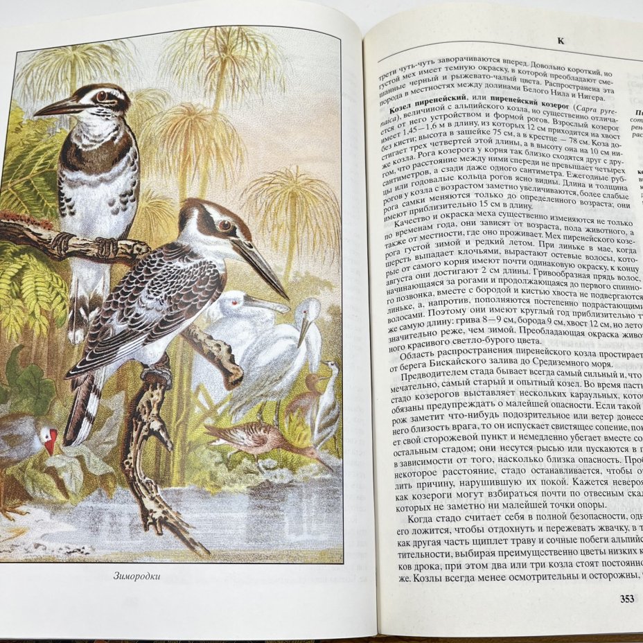 Книга "Жизнь животных", авт. Альфред Брем, бумага, печать, Издательство «Эксмо», Россия, 2004 г., Издательство «Эксмо»