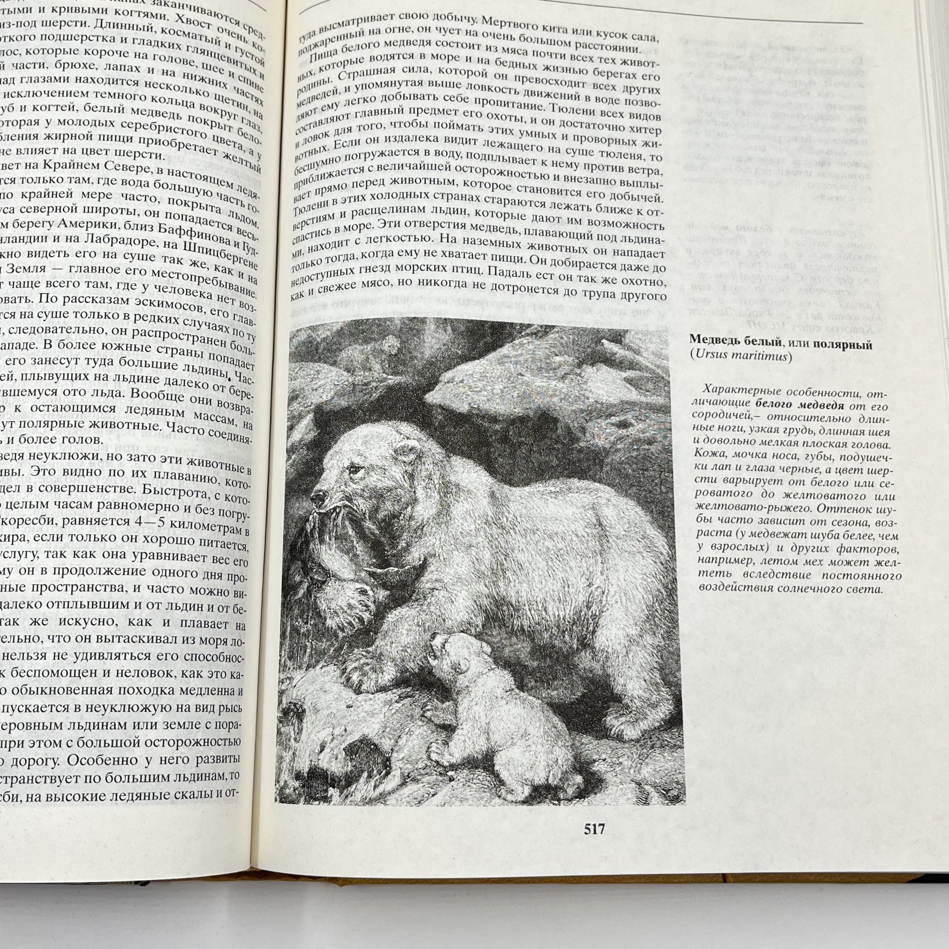 Книга "Жизнь животных", авт. Альфред Брем, бумага, печать, Издательство «Эксмо», Россия, 2004 г., Издательство «Эксмо»