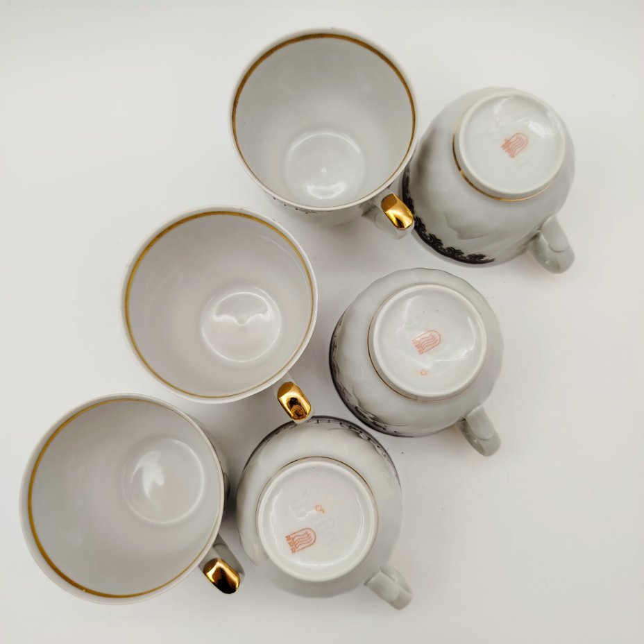 Набор из 6-ти кофейных пар с растительным орнаментом, фарфор, деколь, золочение, Рижский фарфорово-фаянсовый завод, СССР, 1970-1980 гг.