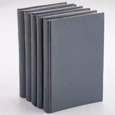 Полное собрание сочинений Льва Александровича Мея в 5 томах, Издание книгопродавца Н.Г. Мартынова