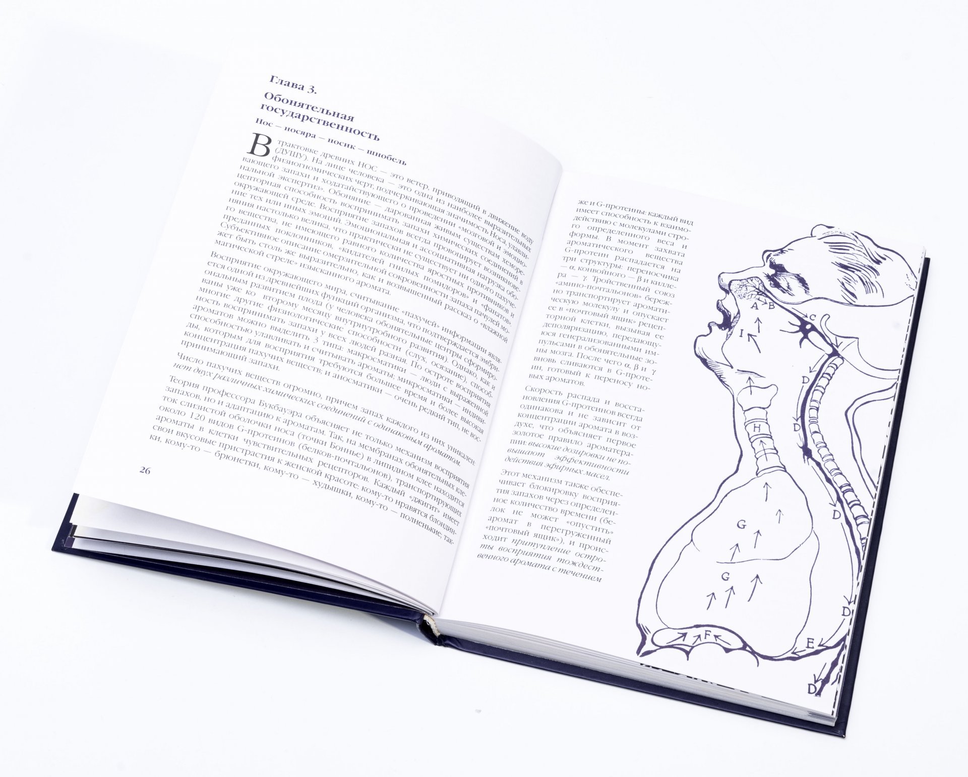Книга Аромалогия "Quantum Satis" (С.Миргородская), бумага, печать, Россия, 1999 г.