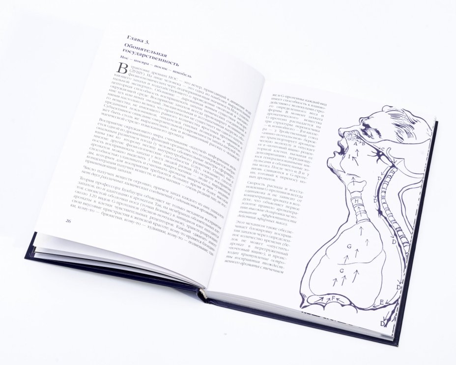 Книга Аромалогия "Quantum Satis" (С.Миргородская), бумага, печать, Россия, 1999 г.