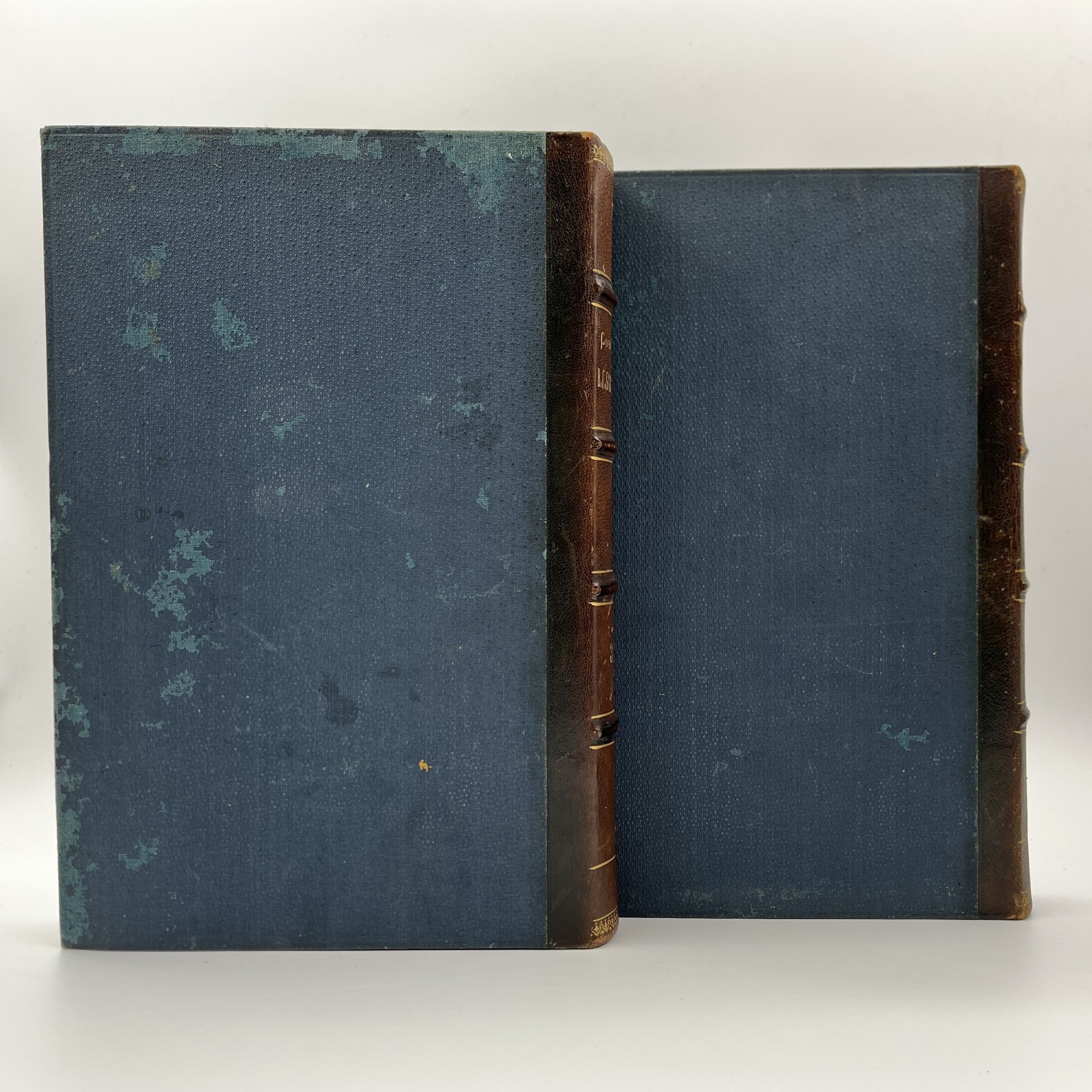 Сочинения В.Г. Белинского в 4 томах (в 2 книгах), бумага, печать, кожаный корешок, тиснение, Южно-русское книгоиздательство Ф.А. Иогансона, Российская империя, 1902 г.