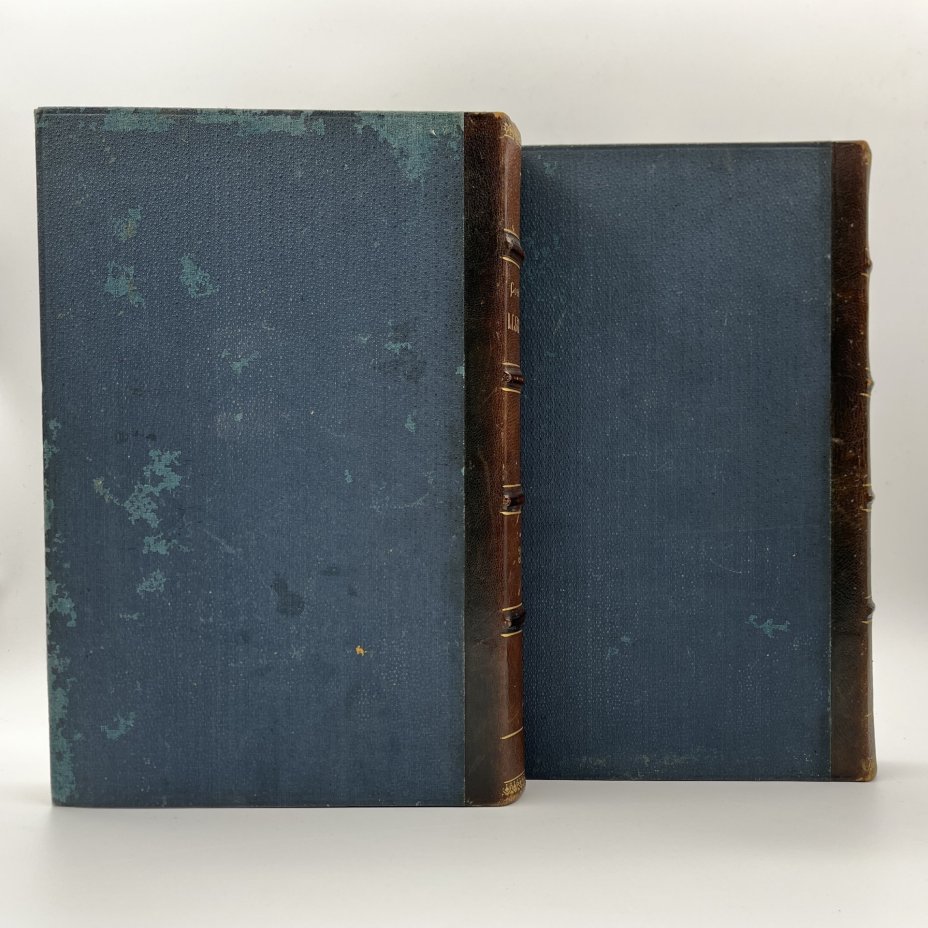 Сочинения В.Г. Белинского в 4 томах (в 2 книгах), бумага, печать, кожаный корешок, тиснение, Южно-русское книгоиздательство Ф.А. Иогансона, Российская империя, 1902 г.