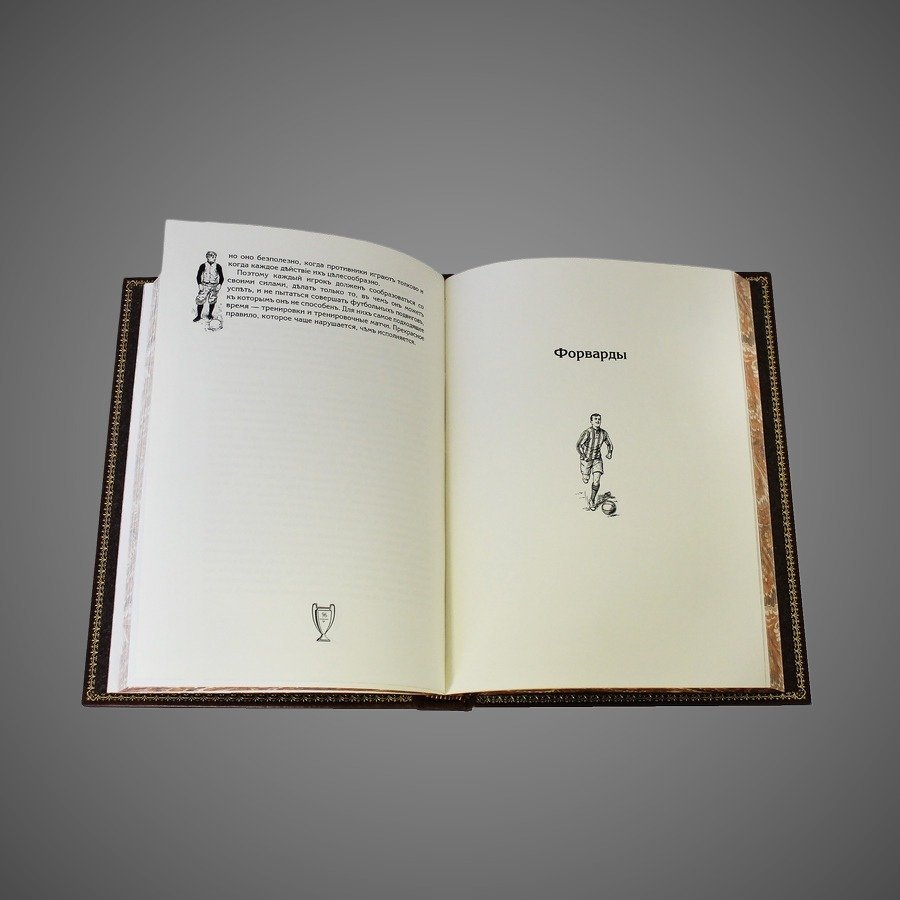 Футбол. Правила, история, тренировка, тактика, игра