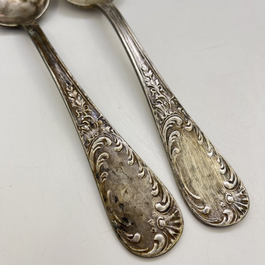 Набор из 2 ложек с флоральным декором